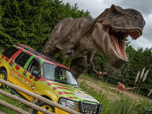 The Hoo Zoo Car in front of one of its attractions a tyrannosaurus rex. Hoo Zoo audio campaign.